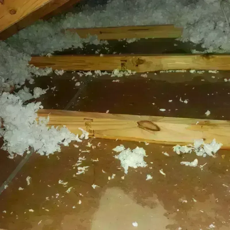 Attic Water Damage in Estes Park, CO