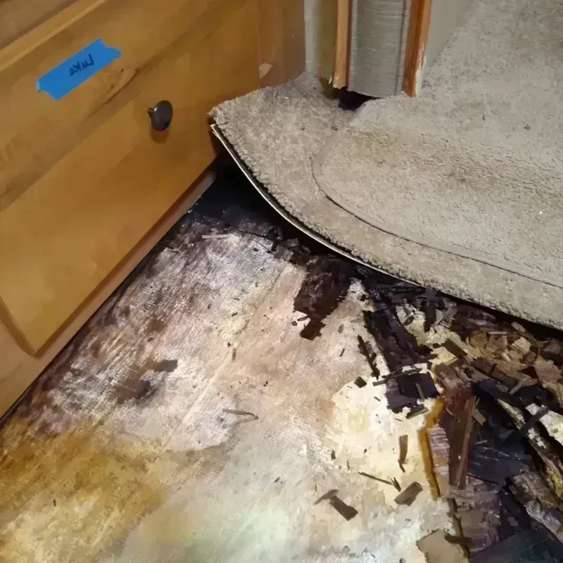 Wood Floor Water Damage in Estes Park, CO